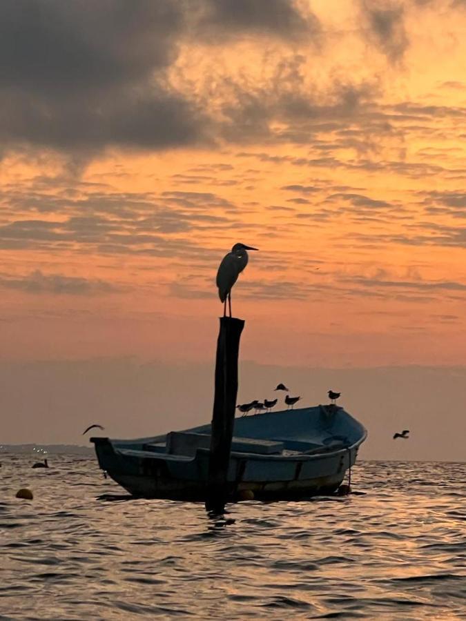 شقة كانكون  في Tu Casa En El Caribe المظهر الخارجي الصورة