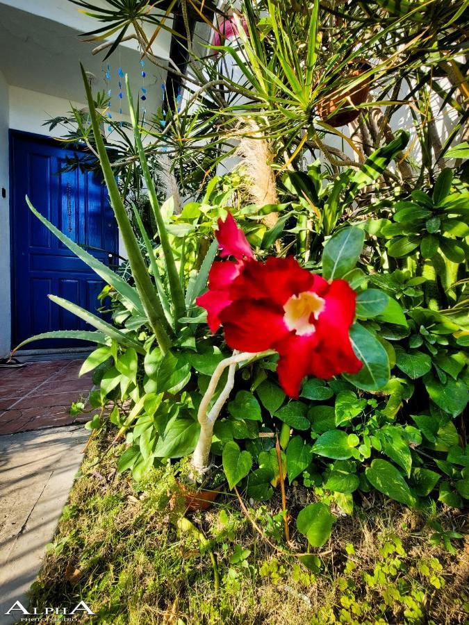 شقة كانكون  في Tu Casa En El Caribe المظهر الخارجي الصورة